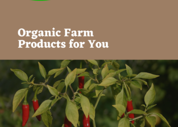 Dorikko, an agri-food innovation for a better quality of life