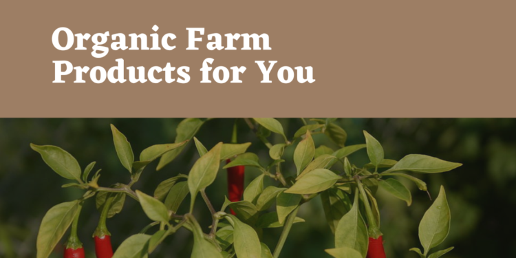 Dorikko, an agri-food innovation for a better quality of life