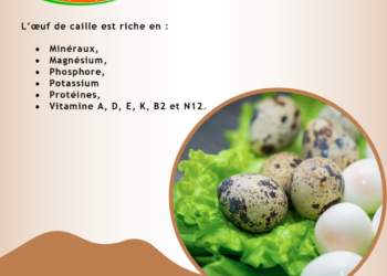 With Dorikko, have a better nutrition.