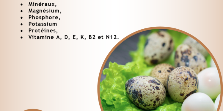 With Dorikko, have a better nutrition.