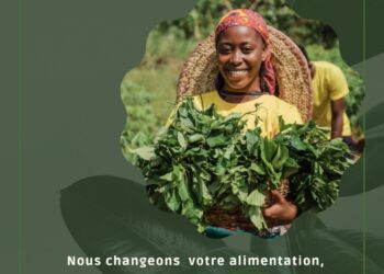 With DORIKKO, let’s move towards a 100% organic world.