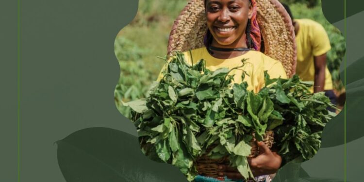 With DORIKKO, let’s move towards a 100% organic world.