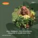 With DORIKKO, let’s move towards a 100% organic world.